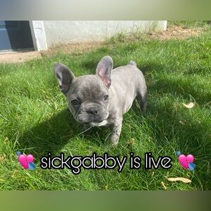 💘💘💘sickgabby is live 💘💘💘